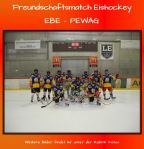 Eishockey